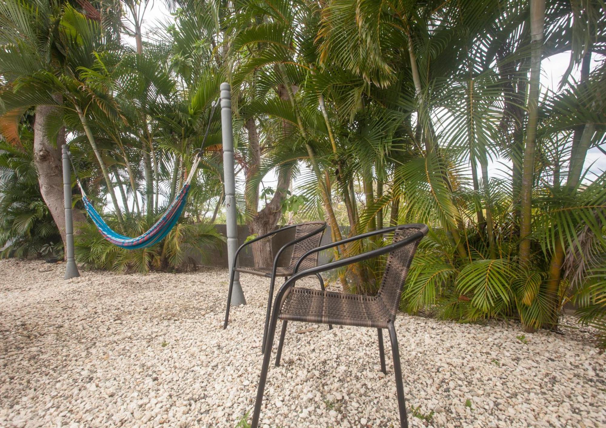 Casa Loba Suite 4 With Private Pool Rincon Εξωτερικό φωτογραφία