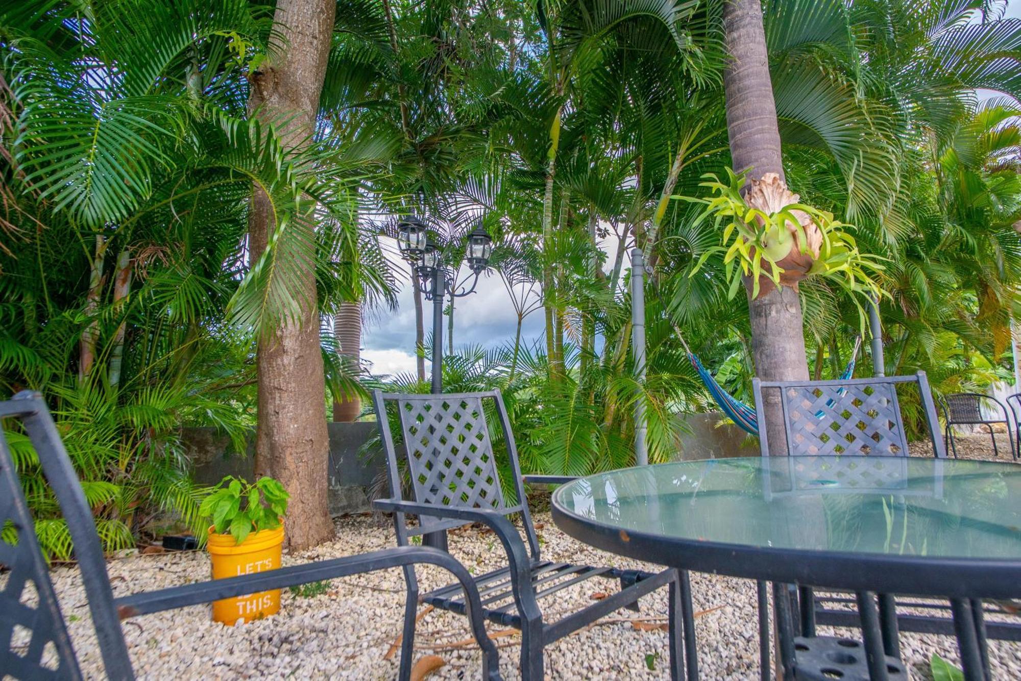 Casa Loba Suite 4 With Private Pool Rincon Εξωτερικό φωτογραφία